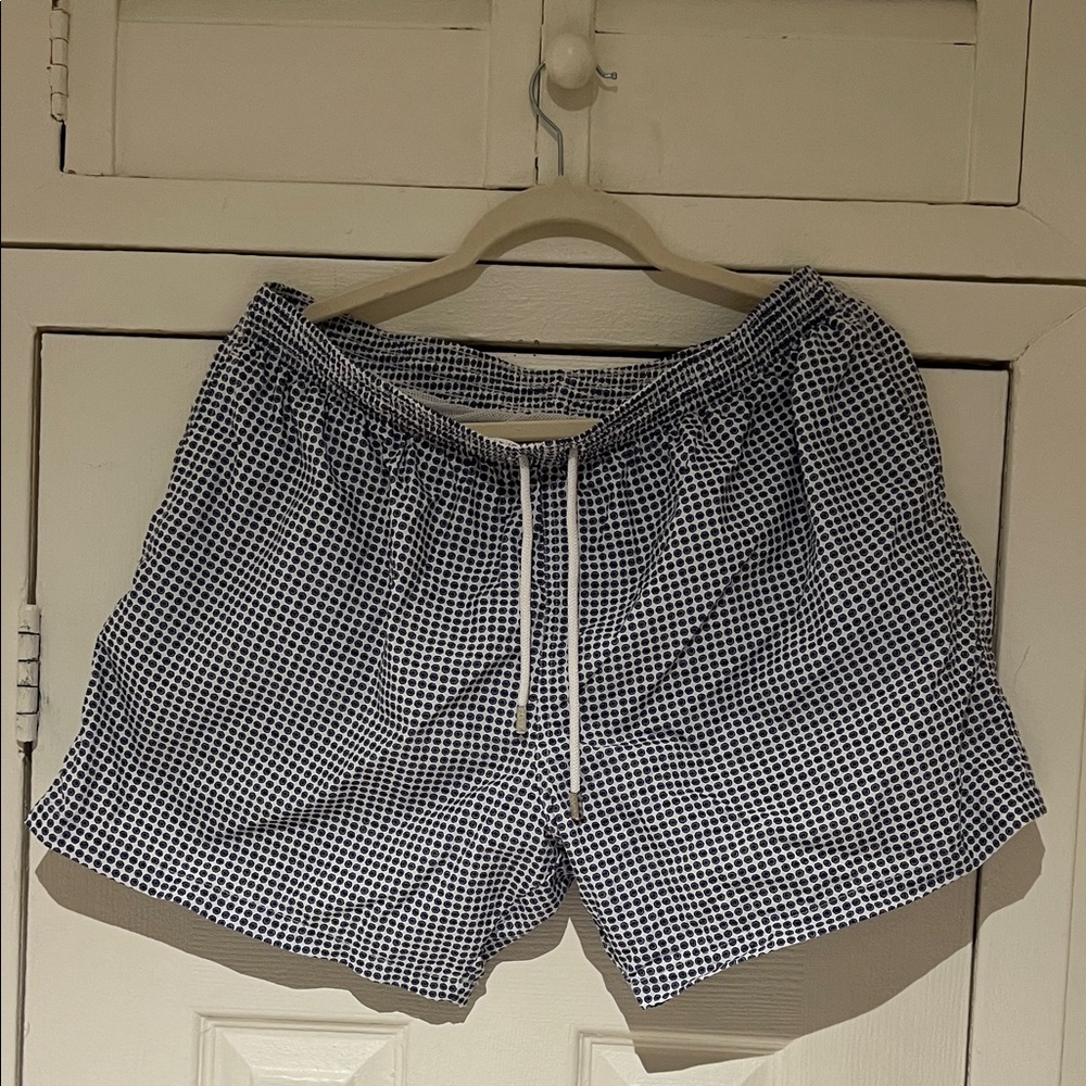 Blue and White Swim Shorts